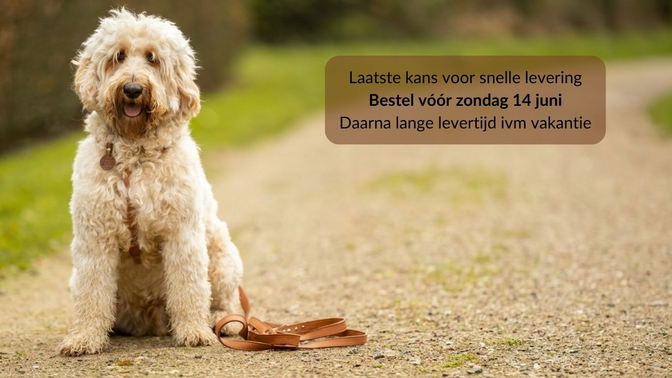 Meola Leather Dogs