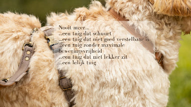 Voorkom_gewrichtsproblemen_bij_je_hond_