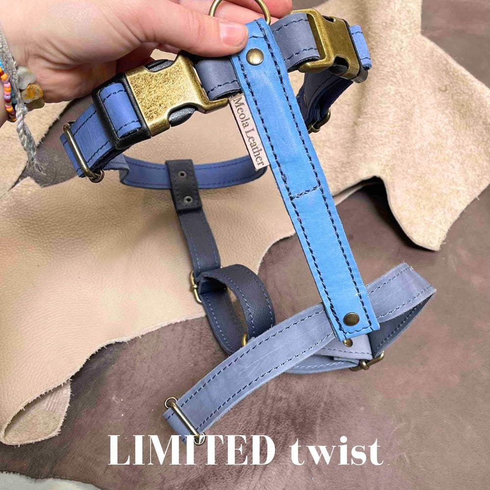 
                      
                        Handgemaakt leren honden tuig meerkleurig LIMITED
                      
                    