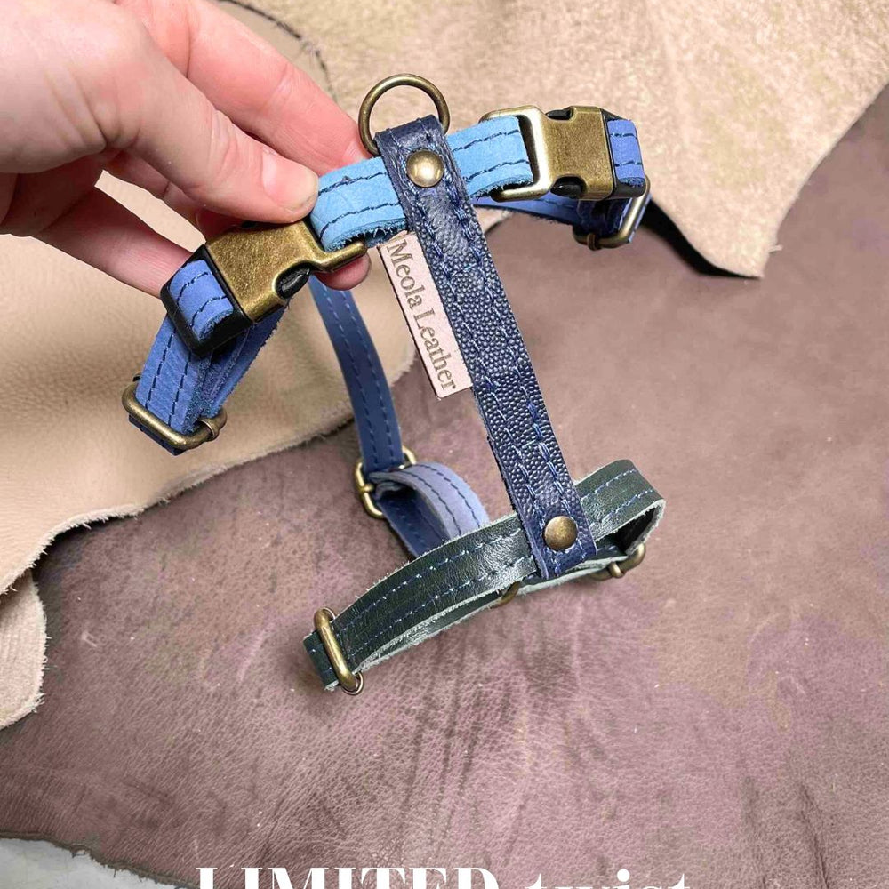 
                      
                        Handgemaakt leren honden tuig meerkleurig LIMITED
                      
                    