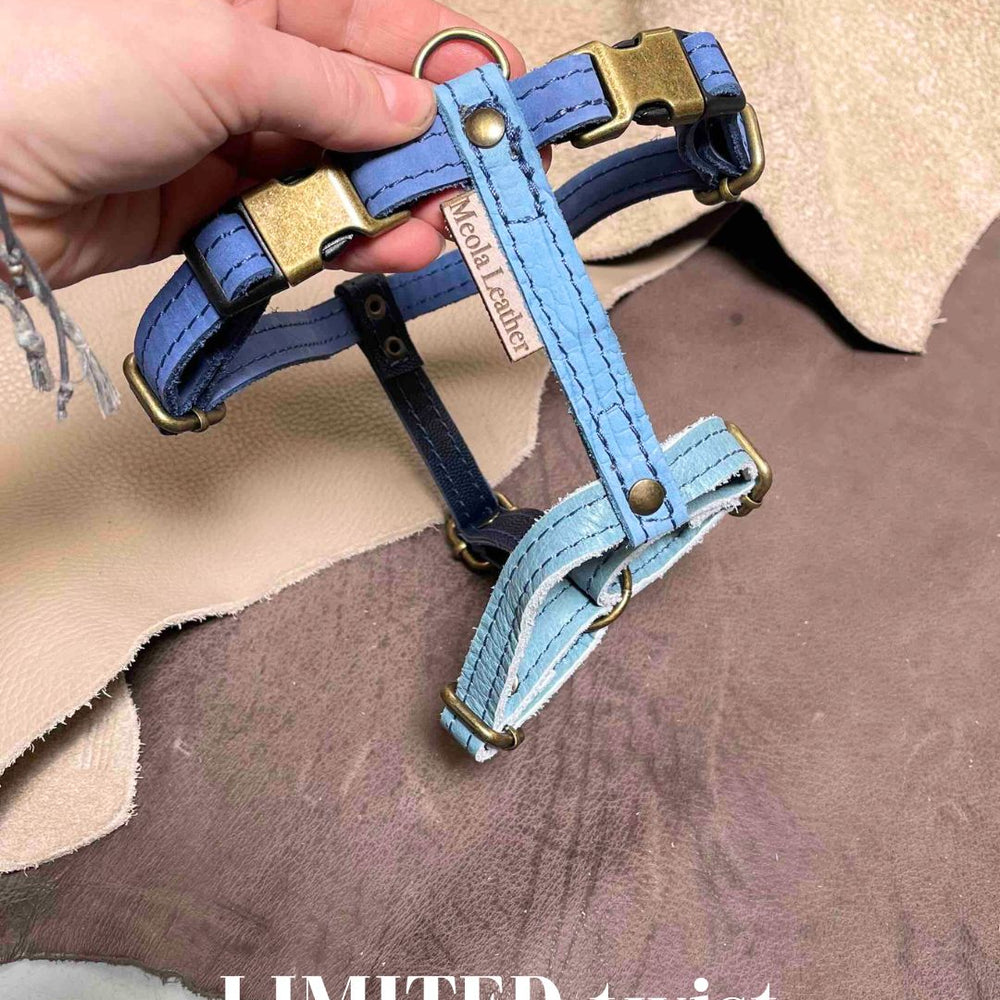 
                      
                        Handgemaakt leren honden tuig meerkleurig LIMITED
                      
                    