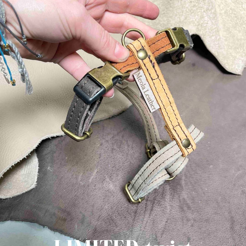 
                      
                        Handgemaakt leren honden tuig meerkleurig LIMITED
                      
                    