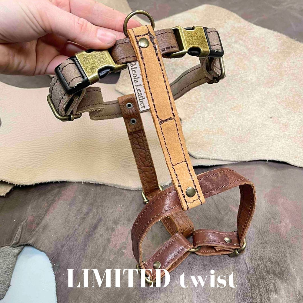 
                      
                        Handgemaakt leren honden tuig meerkleurig LIMITED
                      
                    
