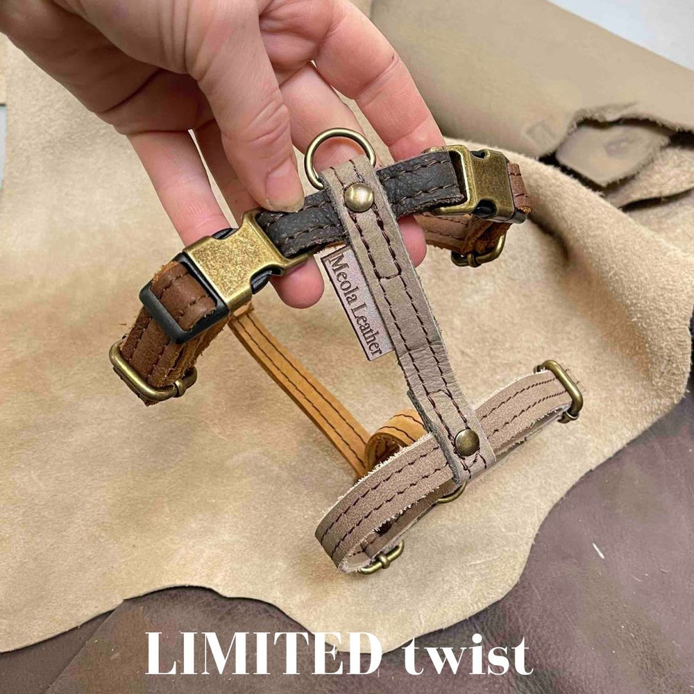 
                      
                        bruin_3 limited_hondentuig_harnas_hond_y_tuig_goed_passend_handgemaakt_leer_meola_leather_dogs lederen hondentuig
                      
                    