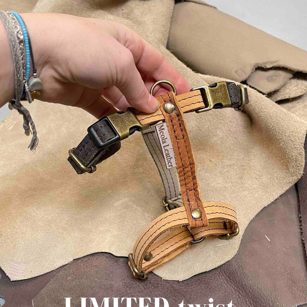 
                      
                        bruin_6 limited_hondentuig_harnas_hond_y_tuig_goed_passend_handgemaakt_leer_meola_leather_dogs lederen hondentuig
                      
                    