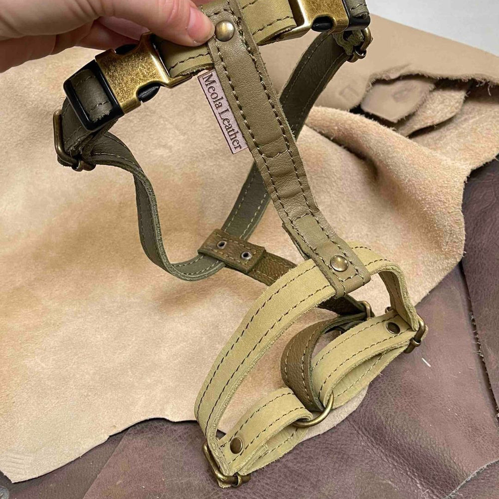 
                      
                        groen_13  imited_hondentuig_harnas_hond_y_tuig_goed_passend_handgemaakt_leer_meola_leather_dogs lederen hondentuig
                      
                    
