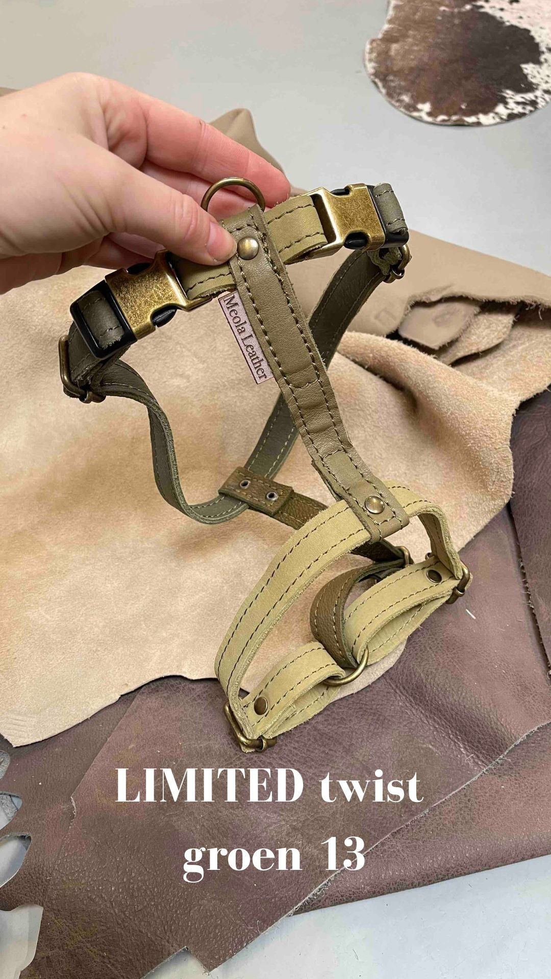 groen_13  imited_hondentuig_harnas_hond_y_tuig_goed_passend_handgemaakt_leer_meola_leather_dogs lederen hondentuig