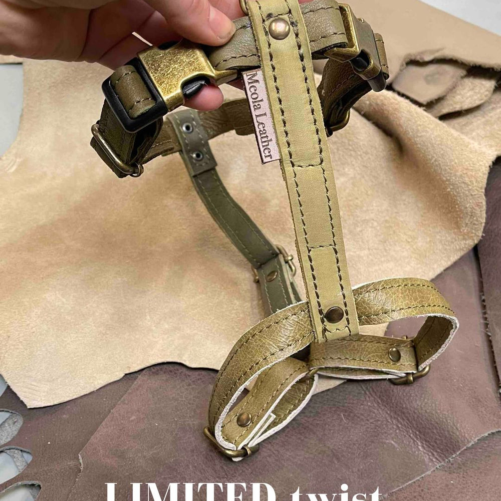 
                      
                        groen_15 limited_hondentuig_harnas_hond_y_tuig_goed_passend_handgemaakt_leer_meola_leather_dogs lederen hondentuig
                      
                    