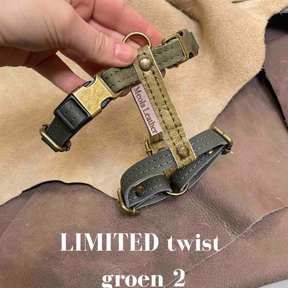 
                      
                        groen_2 limited hondentuig harnas hond y tuig goed passend handgemaakt leer meola leather dogs
                      
                    