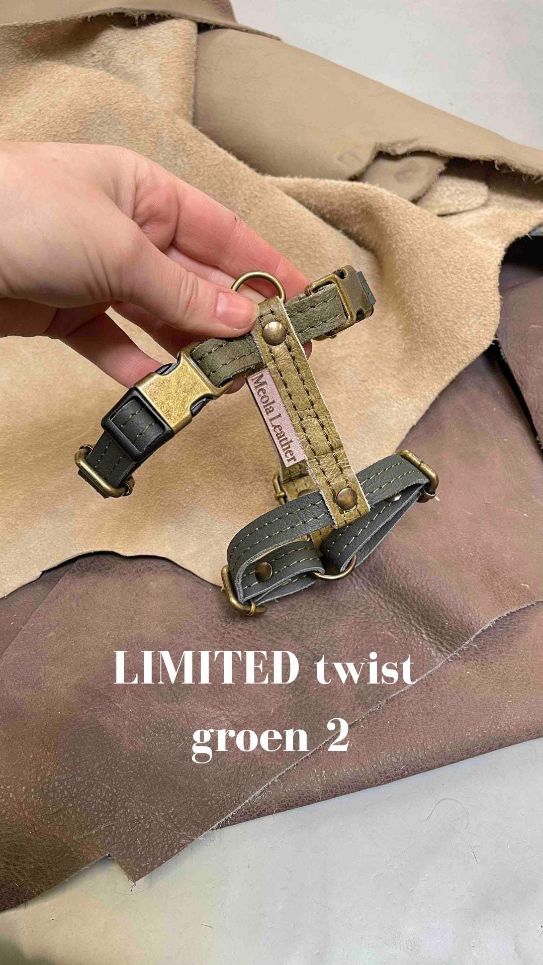 groen_2 limited hondentuig harnas hond y tuig goed passend handgemaakt leer meola leather dogs