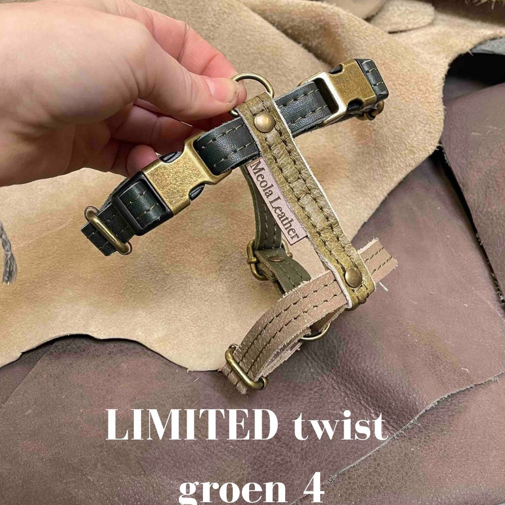 
                      
                        groen_4 limited hondentuig harnas hond y tuig goed passend handgemaakt leer meola leather dogs
                      
                    