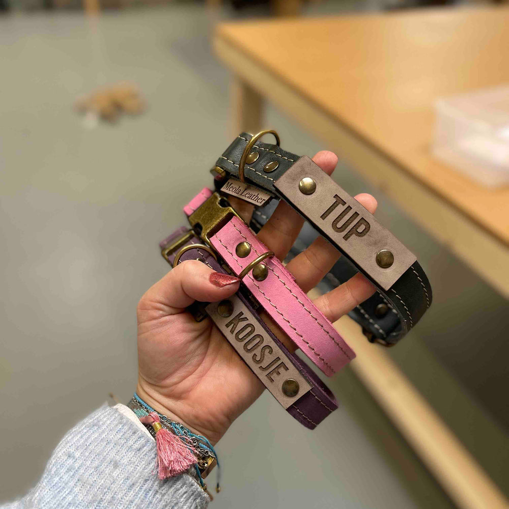 
                      
                        halsband leer op maat gepersonaliseerd op maat paars roze groen
                      
                    