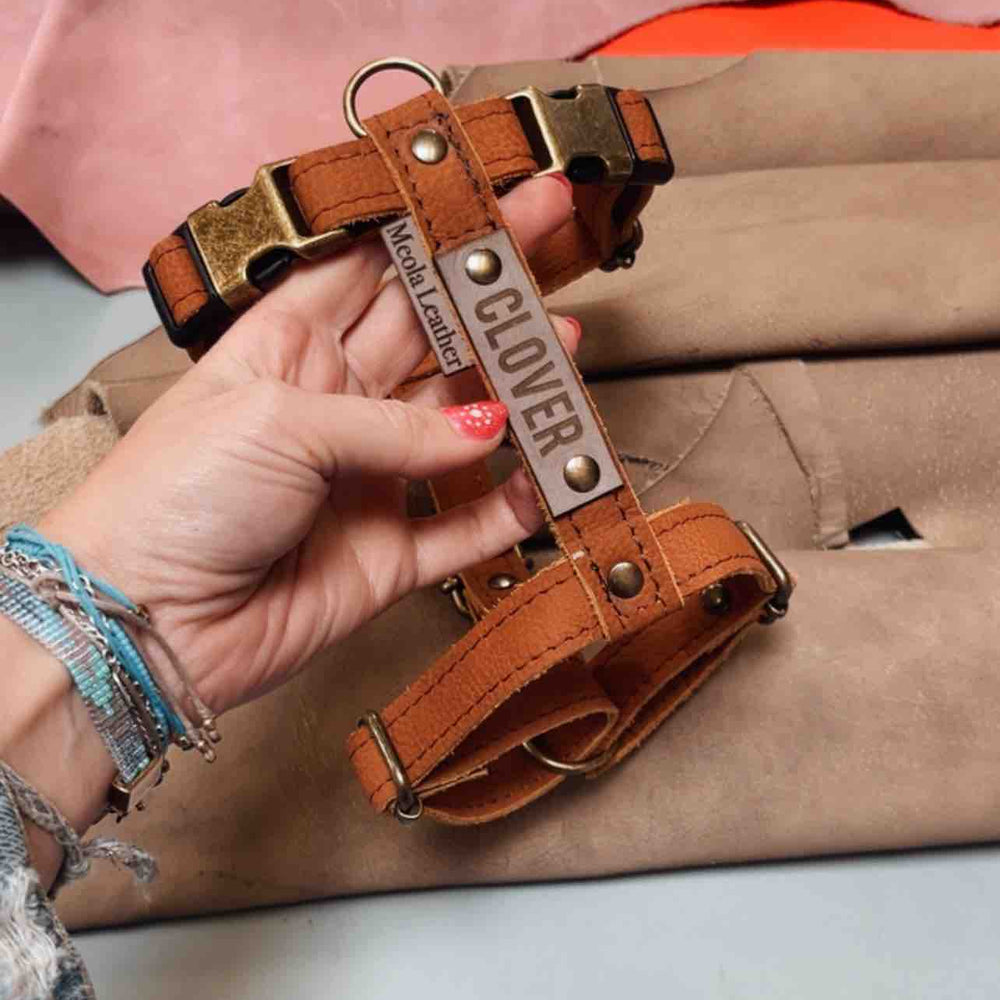 
                      
                        handgemaakt leren y tuig hond op maat cognac  met gepersonaliseerd
                      
                    