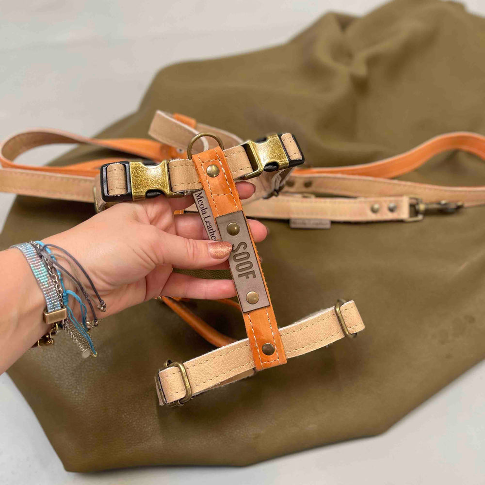 
                      
                        handgemaakt leren y tuig hond op maat meerkleurig oranje beige gepersonaliseerd
                      
                    