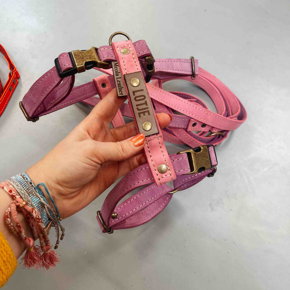 
                      
                        handgemaakt leren y tuig hond op maat meerkleurig roze paars gepersonaliseerd
                      
                    