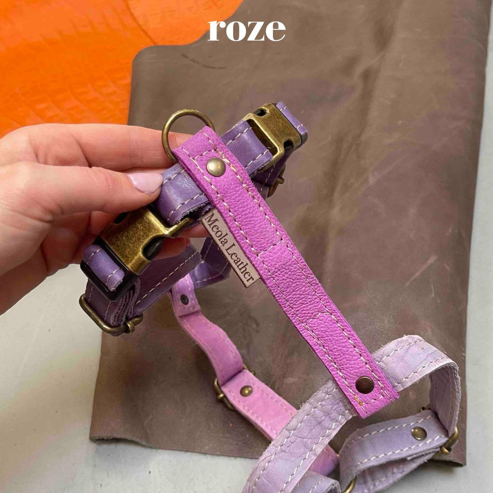 
                      
                        handgemaakt leren y tuig hond perfect passend tuig doodle teckel gepersonaliseerd naam L limited lila paars roze 
                      
                    