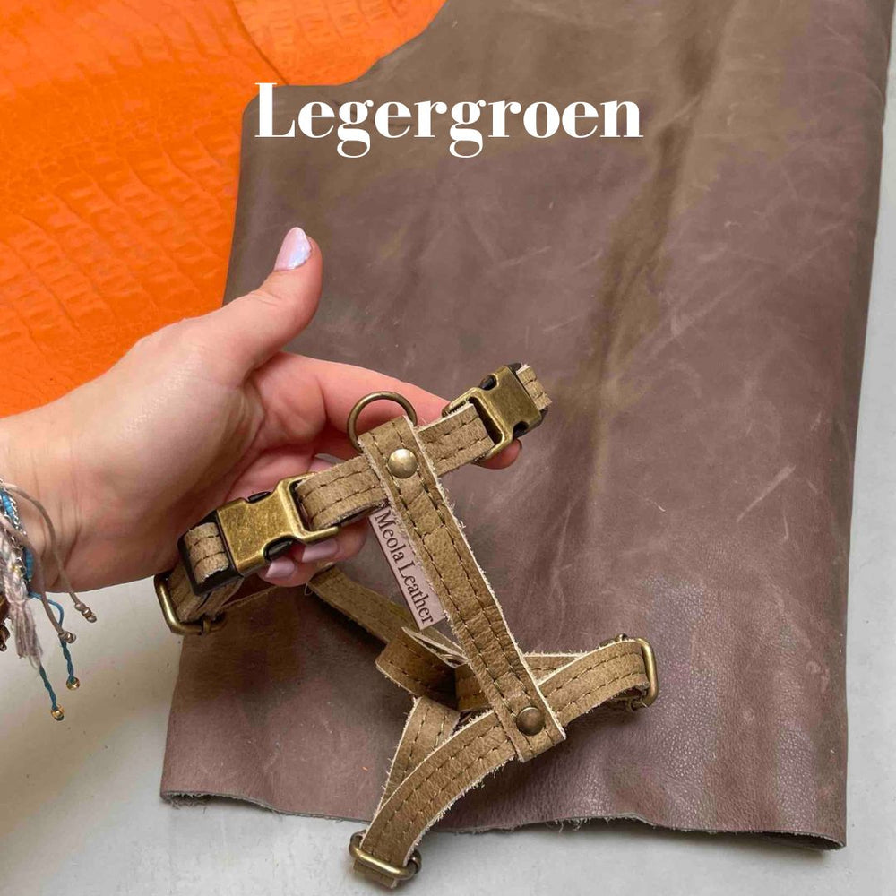 
                      
                        handgemaakt leren y tuig hond perfect passend tuig doodle teckel gepersonaliseerd naam XL legergroen 
                      
                    