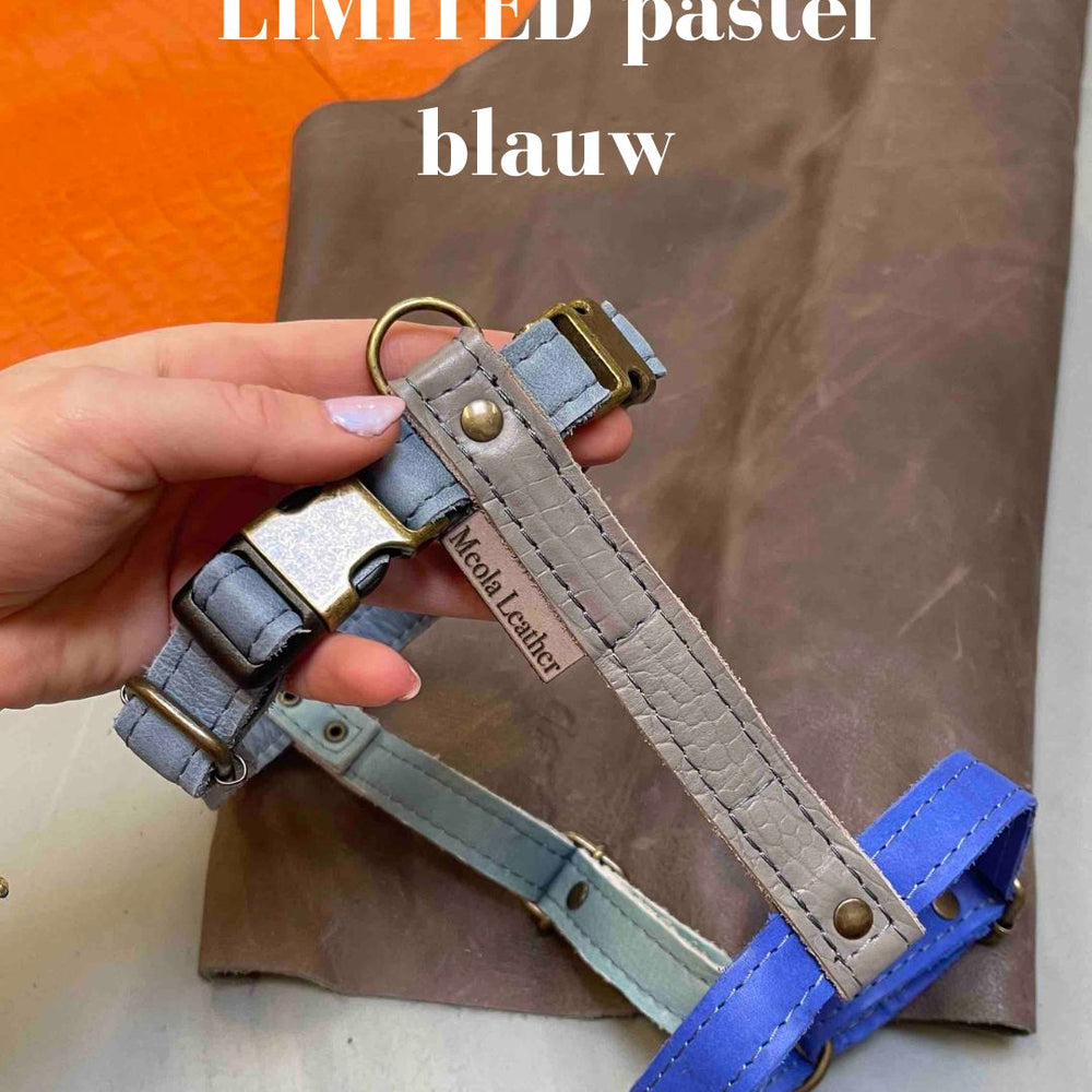 
                      
                        handgemaakt leren y tuig hond perfect passend tuig doodle teckel gepersonaliseerd naam XL limited blauw kobalt
                      
                    
