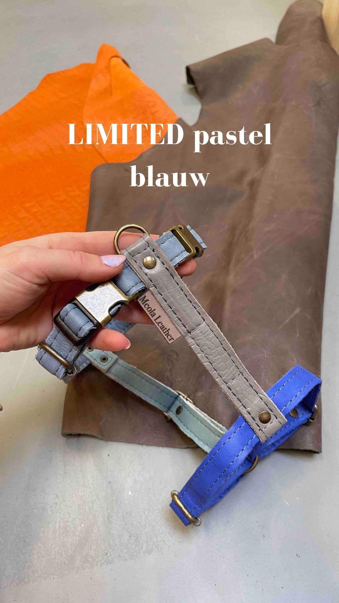 handgemaakt leren y tuig hond perfect passend tuig doodle teckel gepersonaliseerd naam XL limited blauw kobalt
