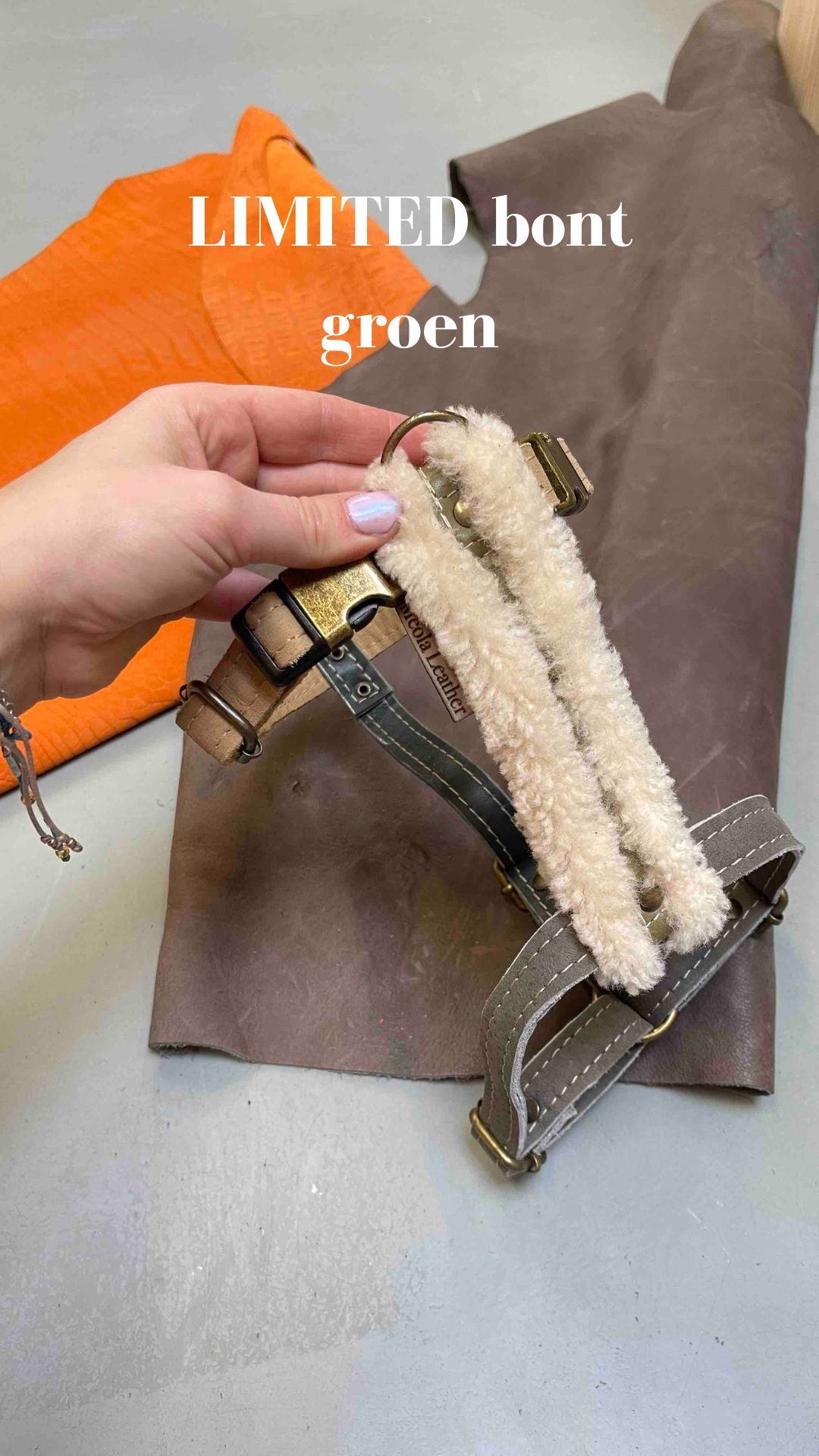 handgemaakt wintertuig leren y tuig hond perfect passend tuig doodle teckel gepersonaliseerd naam XL bont limited groen 