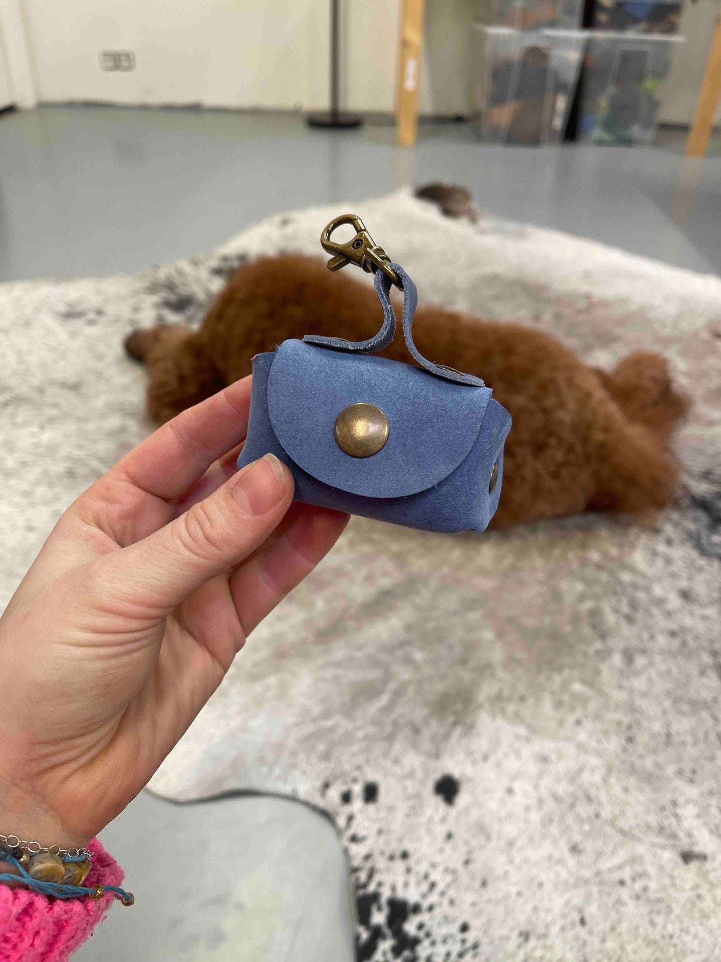 hond met leren poeptasje aan lijn tijdens wandeling