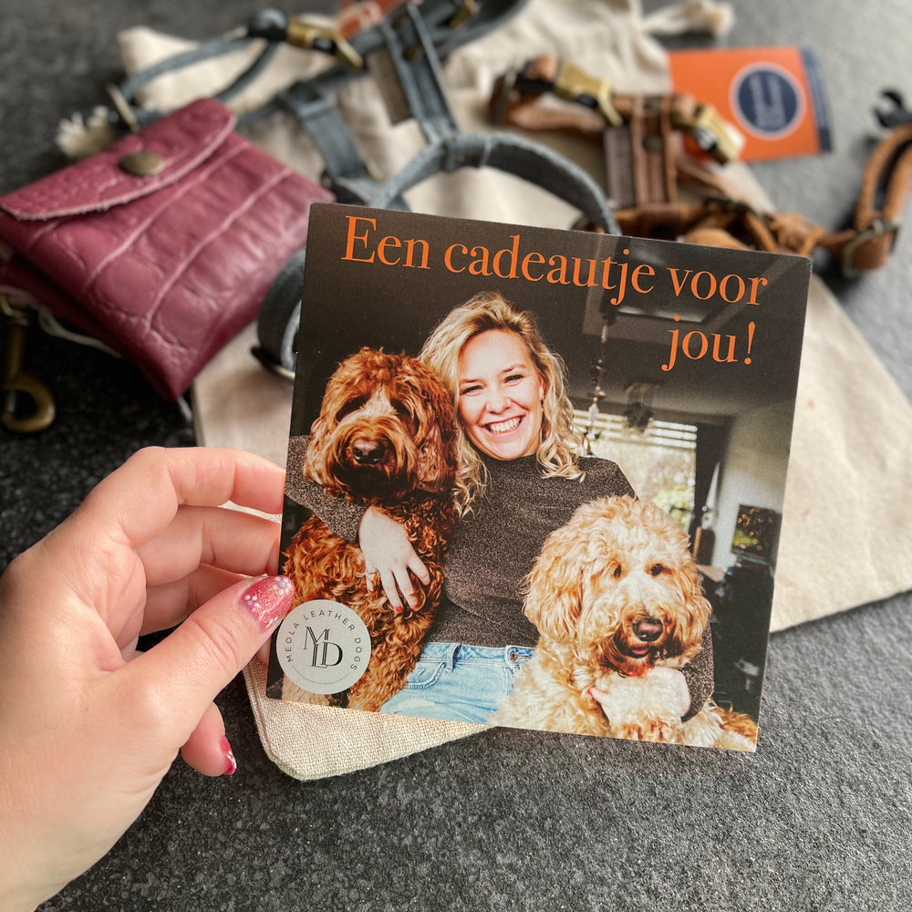 kadobon leren honden producten honden tuigen meola leather dogs