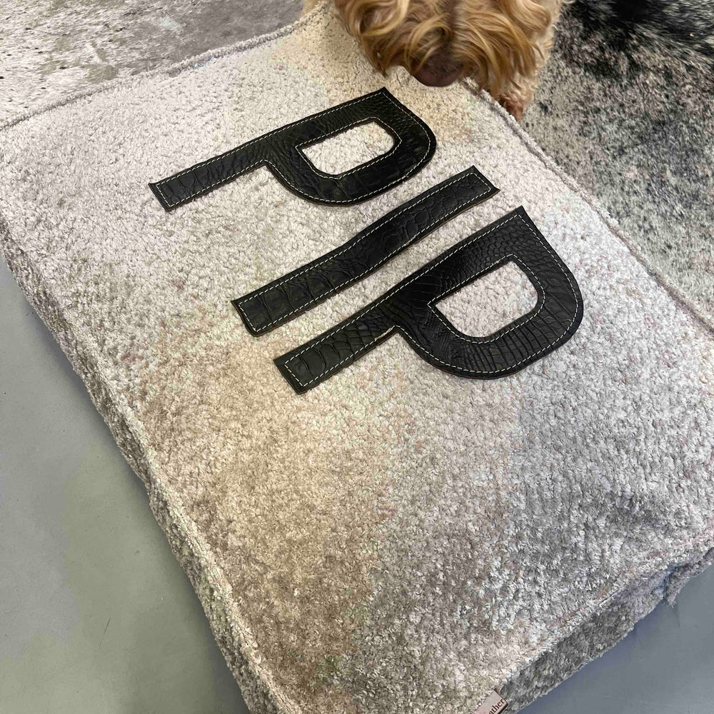 
                      
                        kussen hond benchkussen gepersonaliseerd met naam handgemaakt teddy
                      
                    