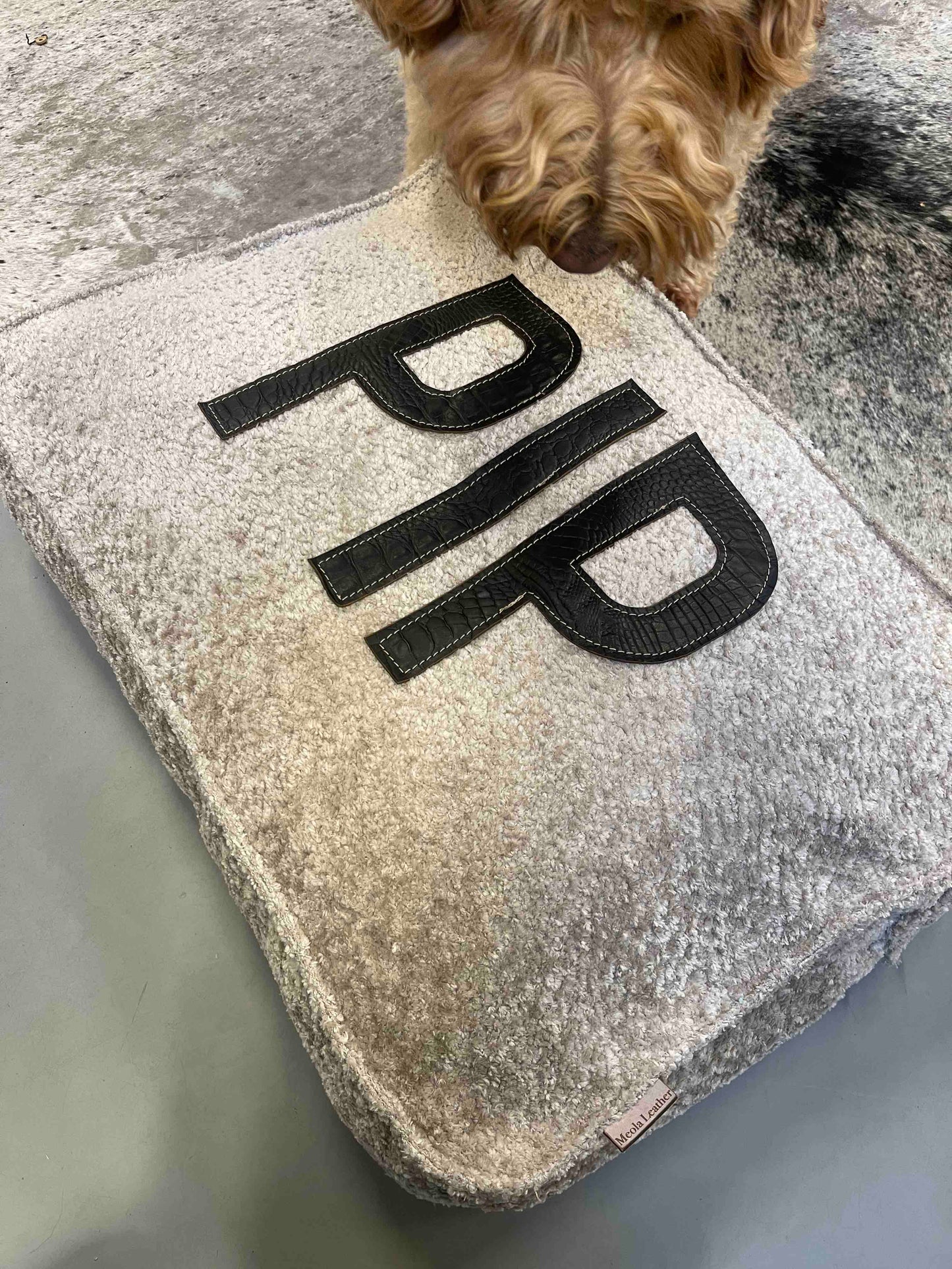 kussen hond benchkussen gepersonaliseerd met naam handgemaakt teddy