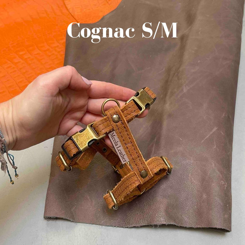 
                      
                        leren y tuig handgemaakt cognac in maat s en m 15mm breed
                      
                    