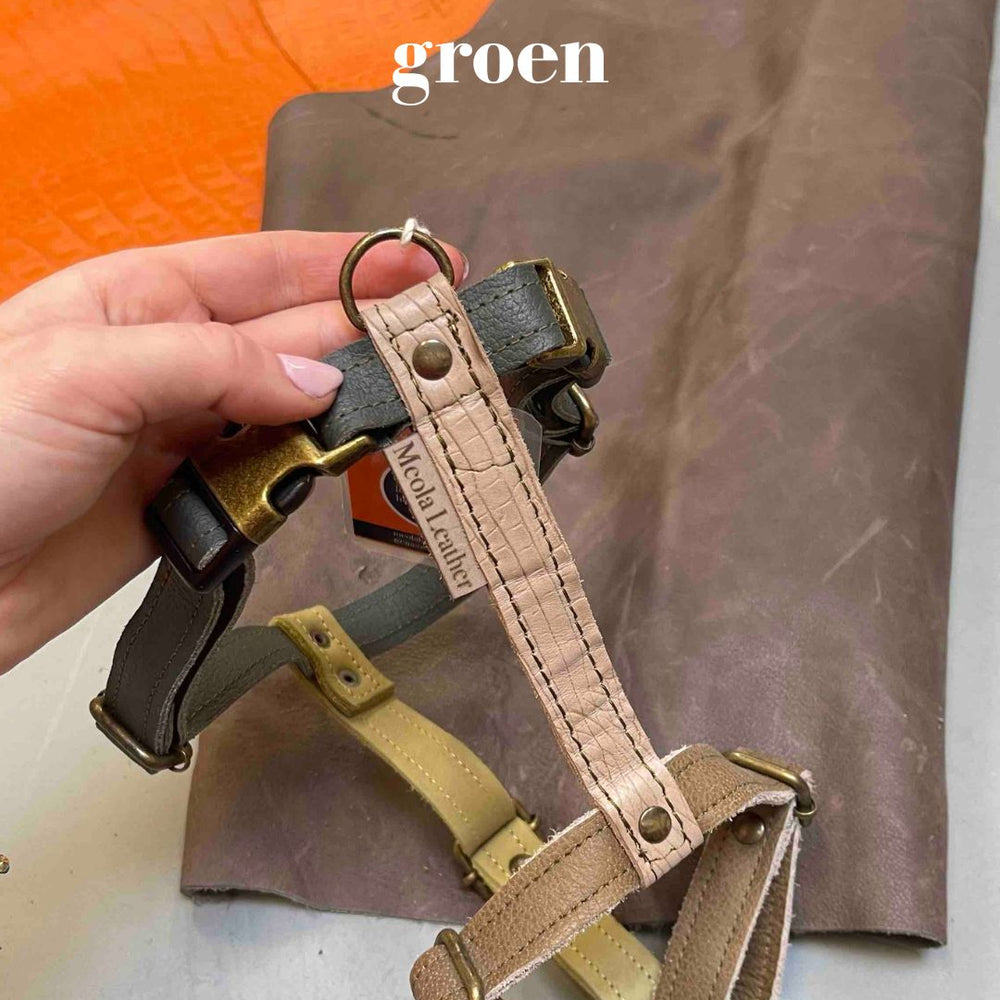 
                      
                        limited edition leren handgemaakt y tuig groen beige gepersonaliseerd
                      
                    