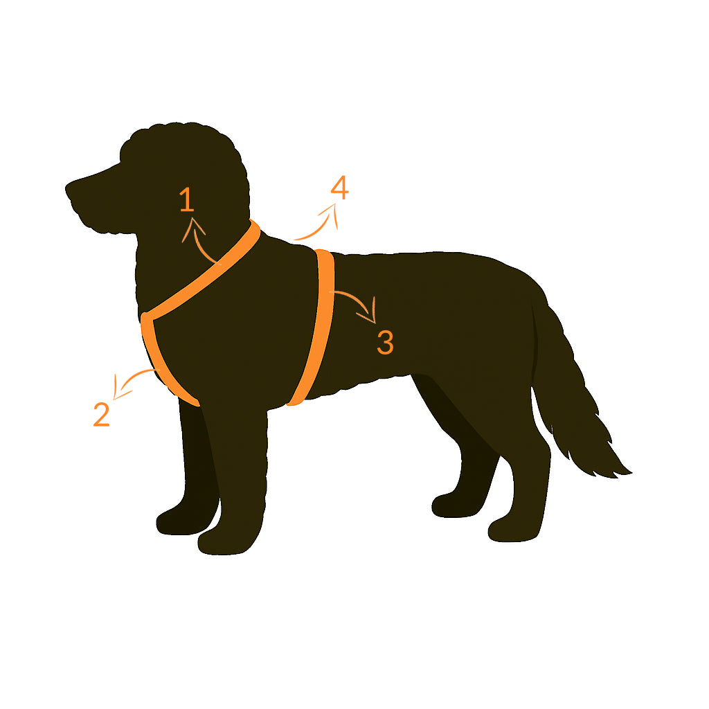 Meola Leather Dogs