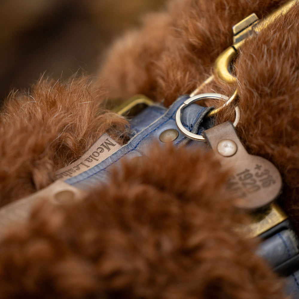 op maat gemaakt leren tuig meola leather dogs blauw