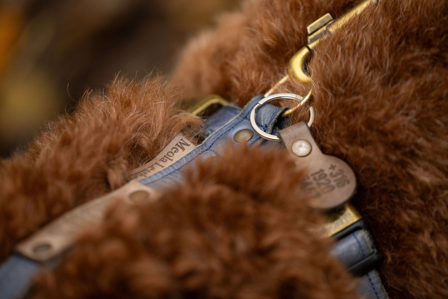 op maat gemaakt leren tuig meola leather dogs blauw