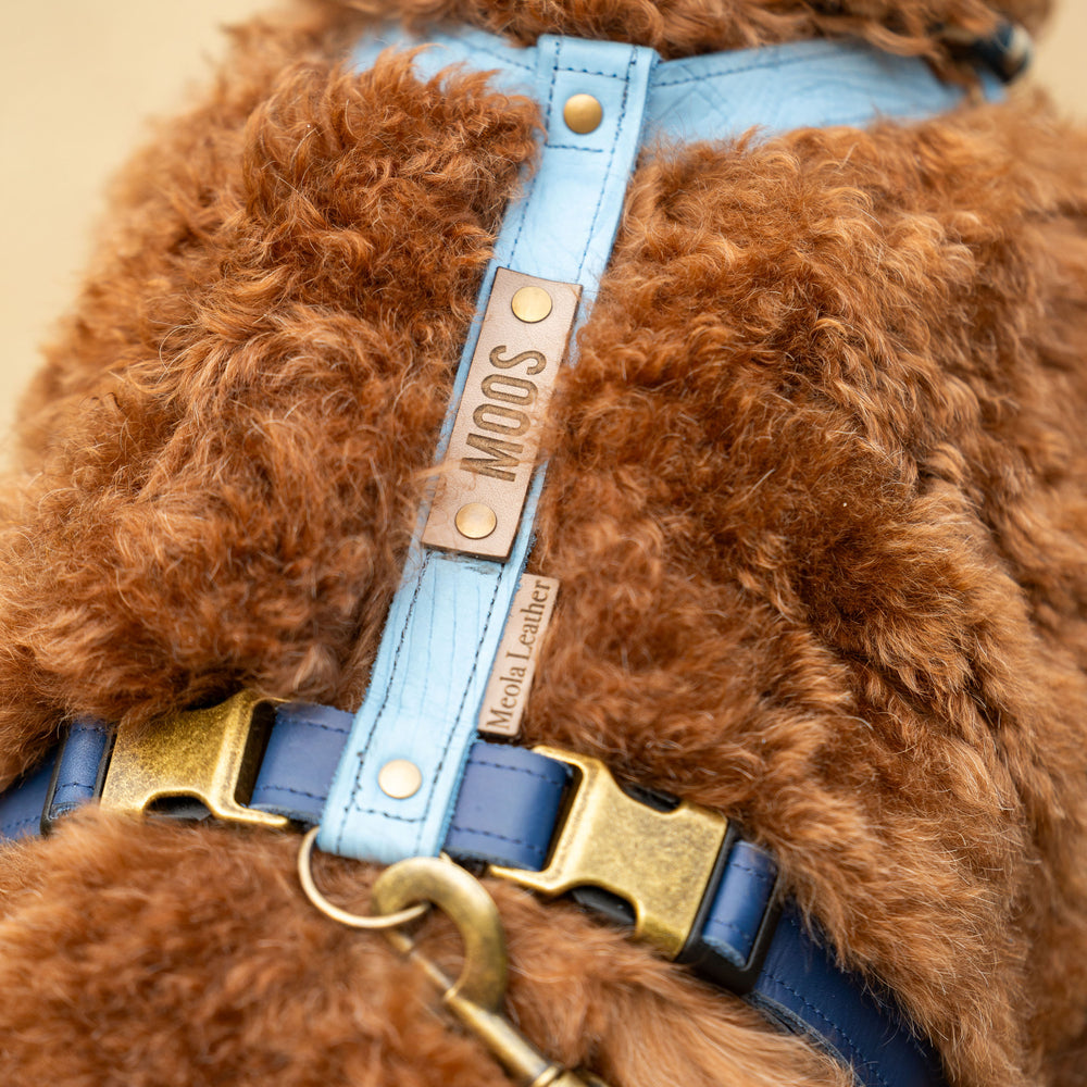 op maat gemaakt leren tuig meola leather dogs gepersonaliseerd