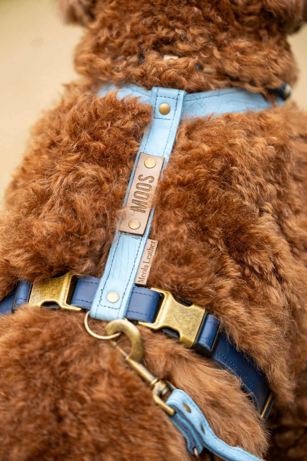 op maat gemaakt leren tuig meola leather dogs gepersonaliseerd