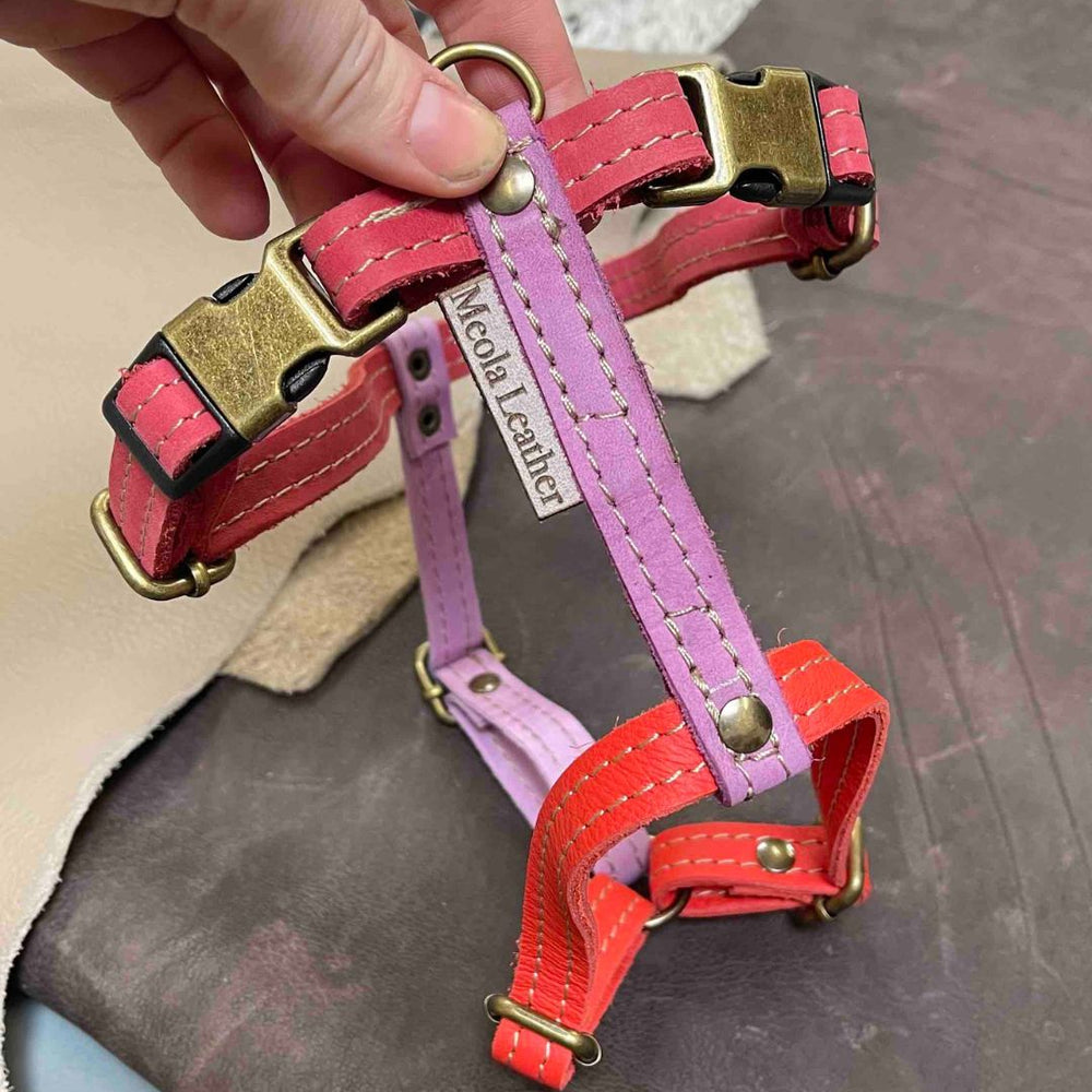 
                      
                        roze_24 limited_hondentuig_harnas_hond_y_tuig_goed_passend_handgemaakt_leer_meola_leather_dogs lederen hondentuig
                      
                    