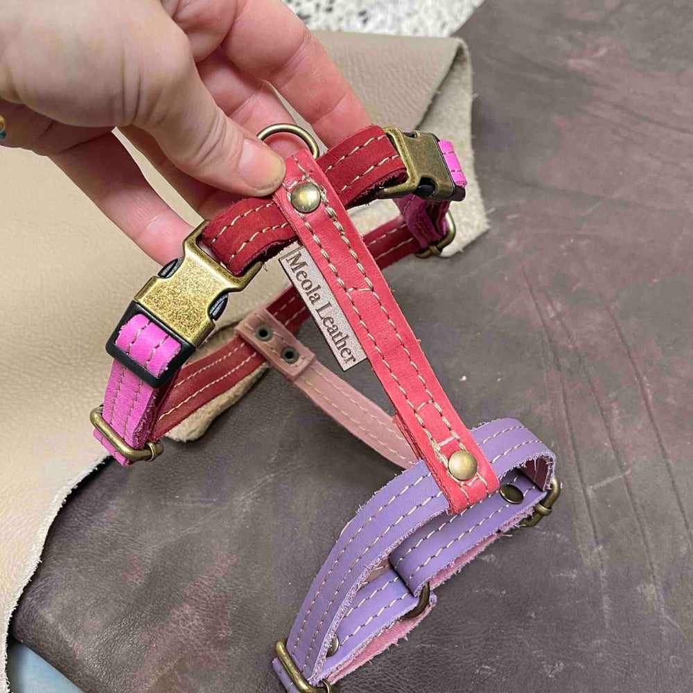 
                      
                        roze_28 limited_hondentuig_harnas_hond_y_tuig_goed_passend_handgemaakt_leer_meola_leather_dogs lederen hondentuig
                      
                    