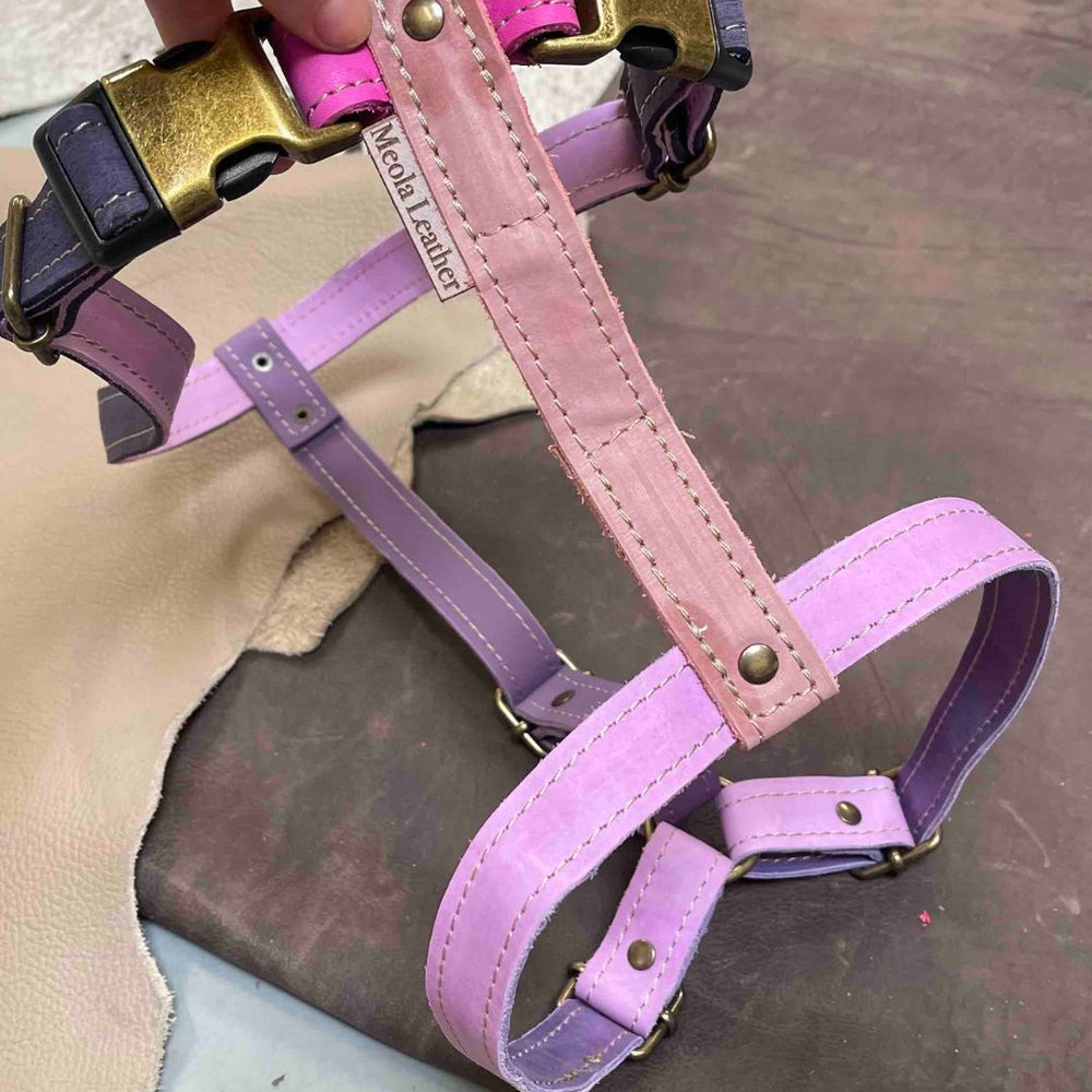 
                      
                        roze_9 limited_hondentuig_harnas_hond_y_tuig_goed_passend_handgemaakt_leer_meola_leather_dogs
                      
                    
