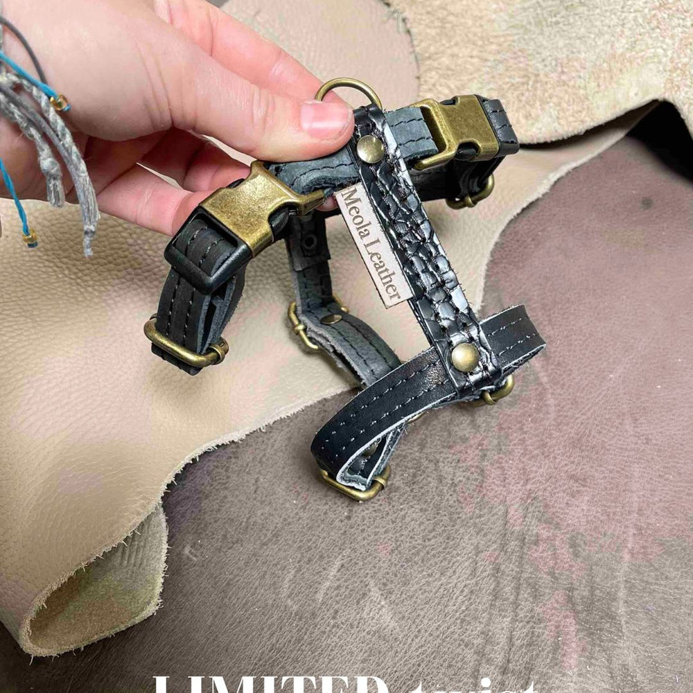 
                      
                        Handgemaakt leren honden tuig meerkleurig LIMITED
                      
                    