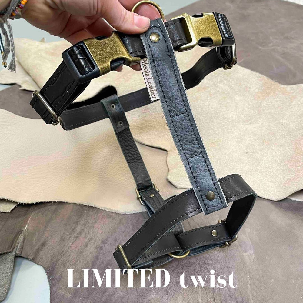 
                      
                        Handgemaakt leren honden tuig meerkleurig LIMITED
                      
                    